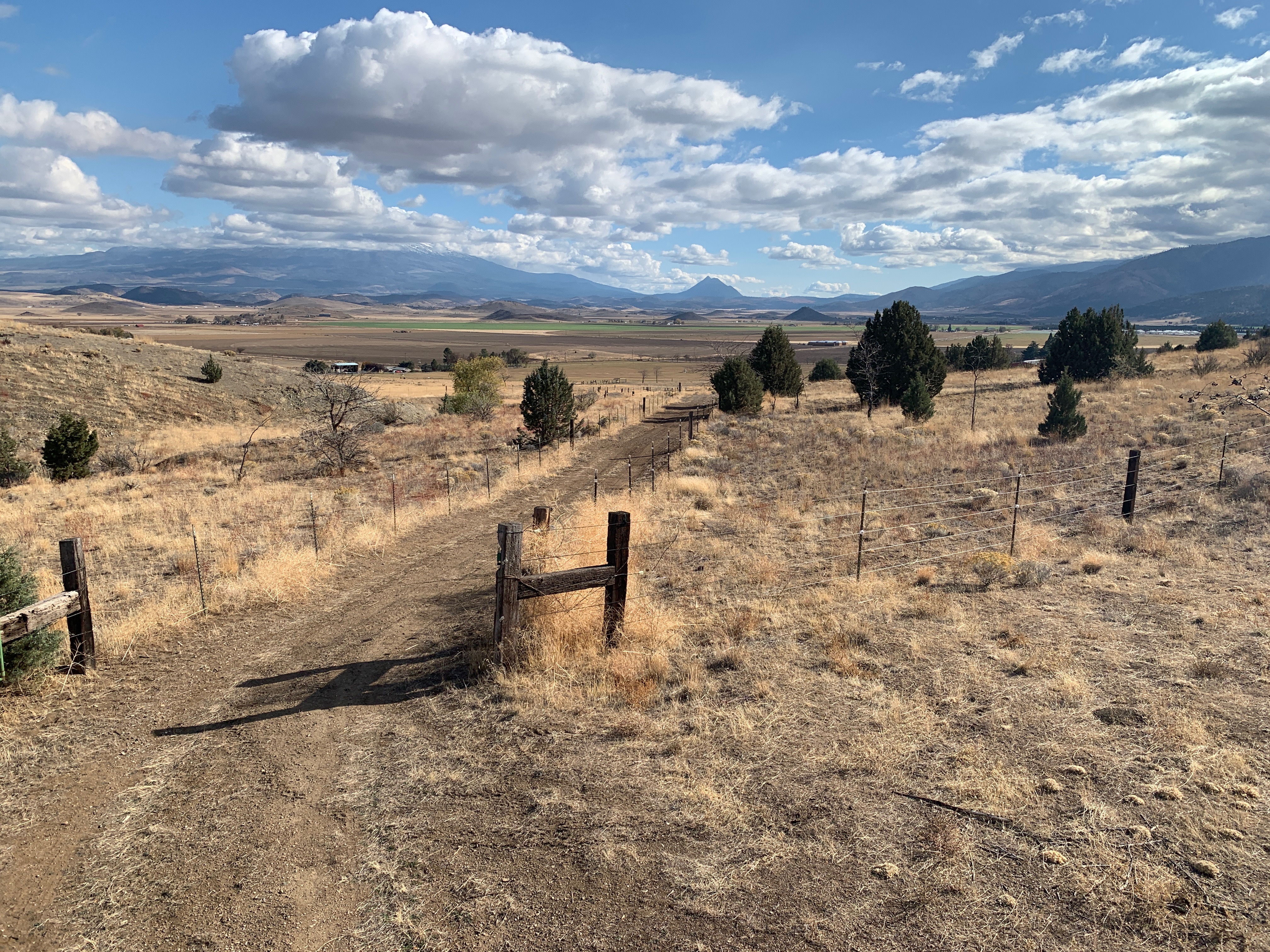Ranch fence line