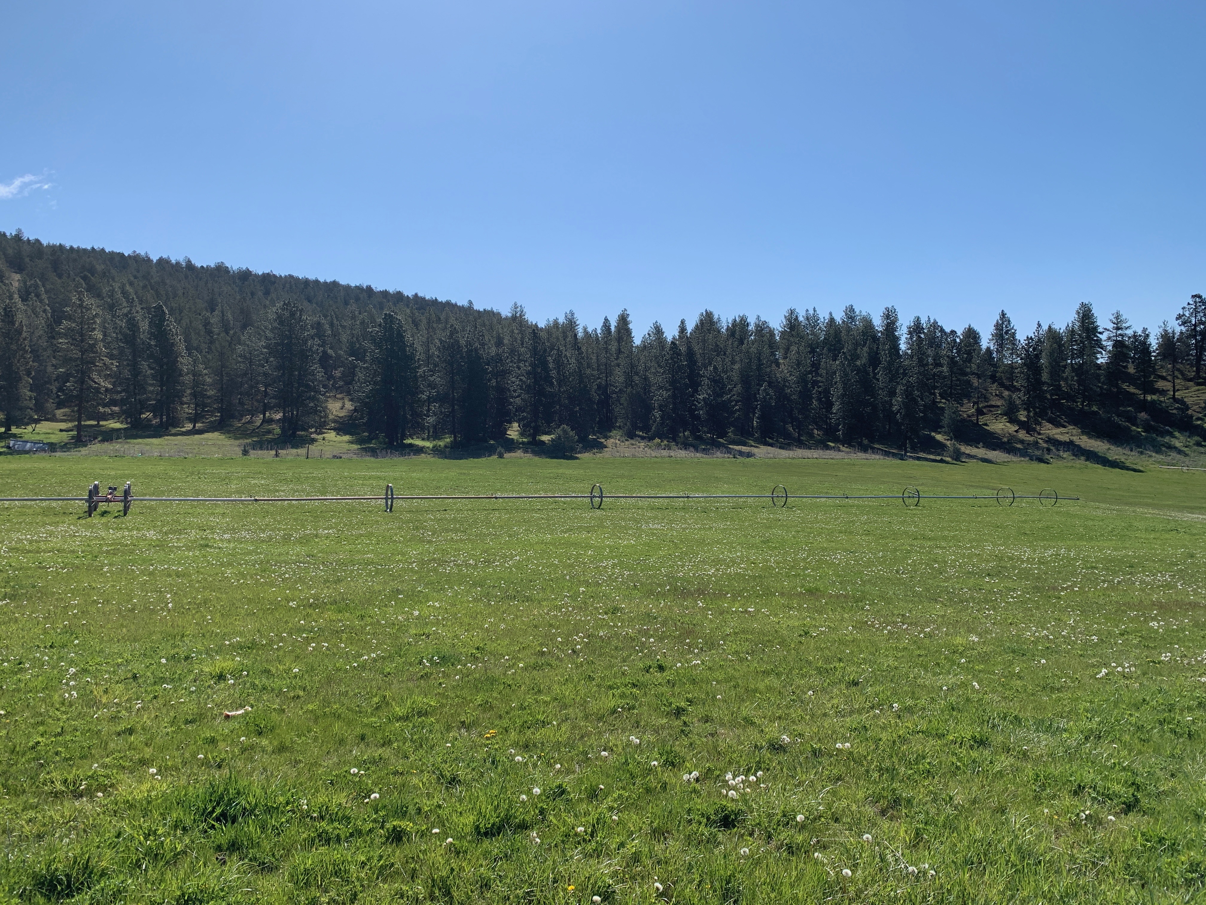 Irrigated ranch land